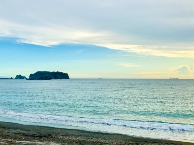 移住後の楽しみ 海からの贈り物 をいただいています Turn南房総