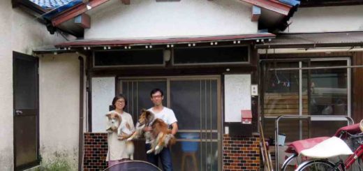 愛犬2匹と共に南房総へ移住した東條さん