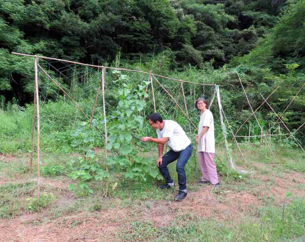 畑もしている東條さん