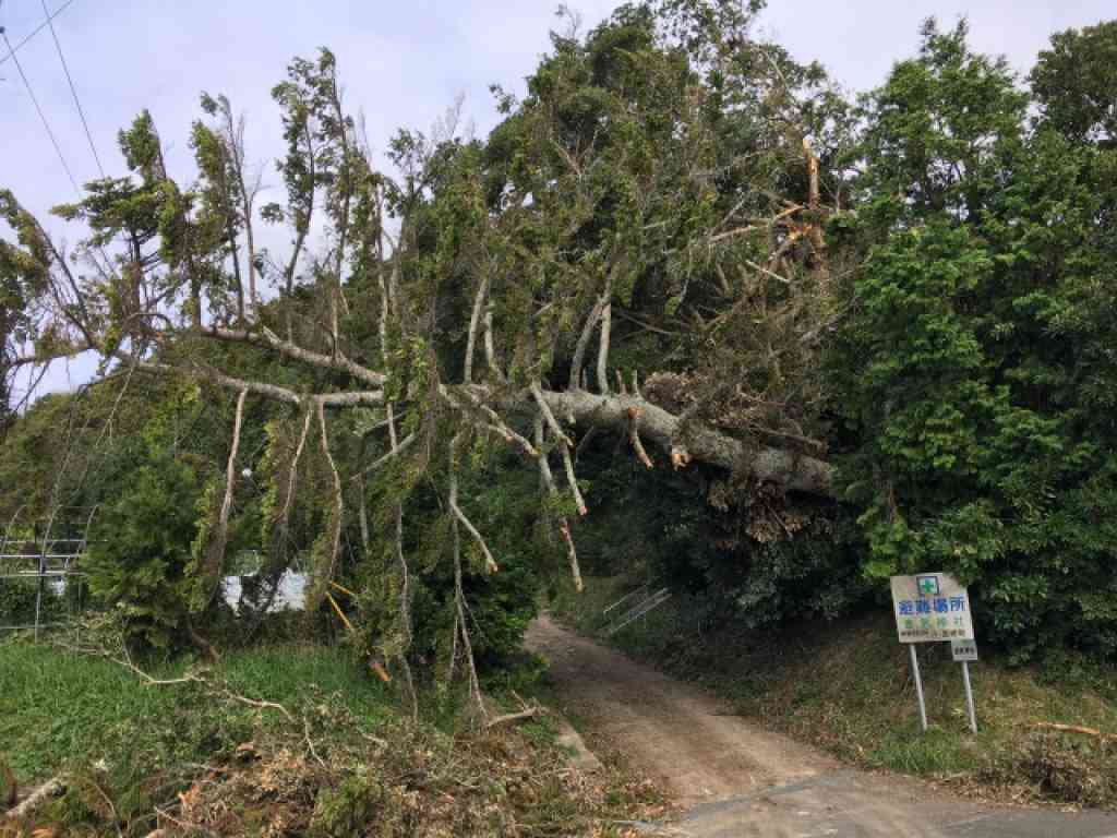 大型台風を体験して感じたこと – TURN南房総