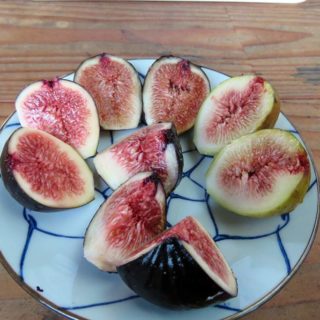 よぜむファームのイチジク