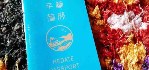 ヘダテパスポート