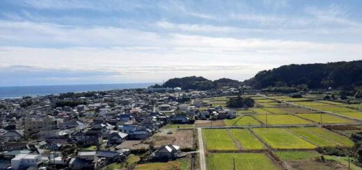 平舘稲荷山頂上からの景色