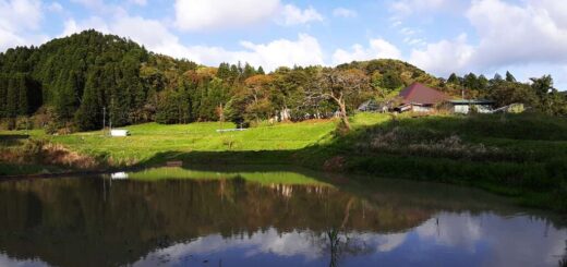 里山の景色