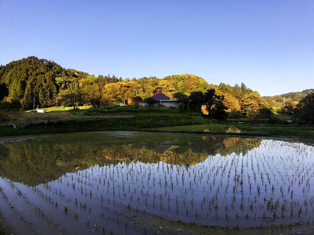 里山に広がる田んぼ