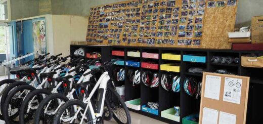 E-BIKE / XDS E BIKE – FLAT BAR(電動自転車)