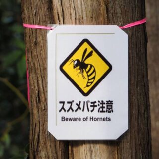 スズメバチ注意