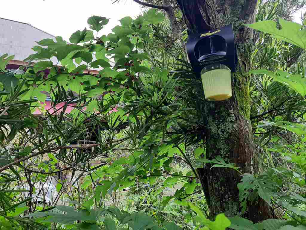 スズメバチトラップ