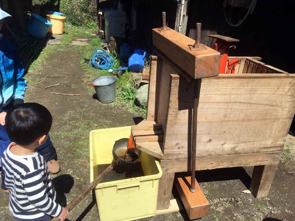 醤油搾り