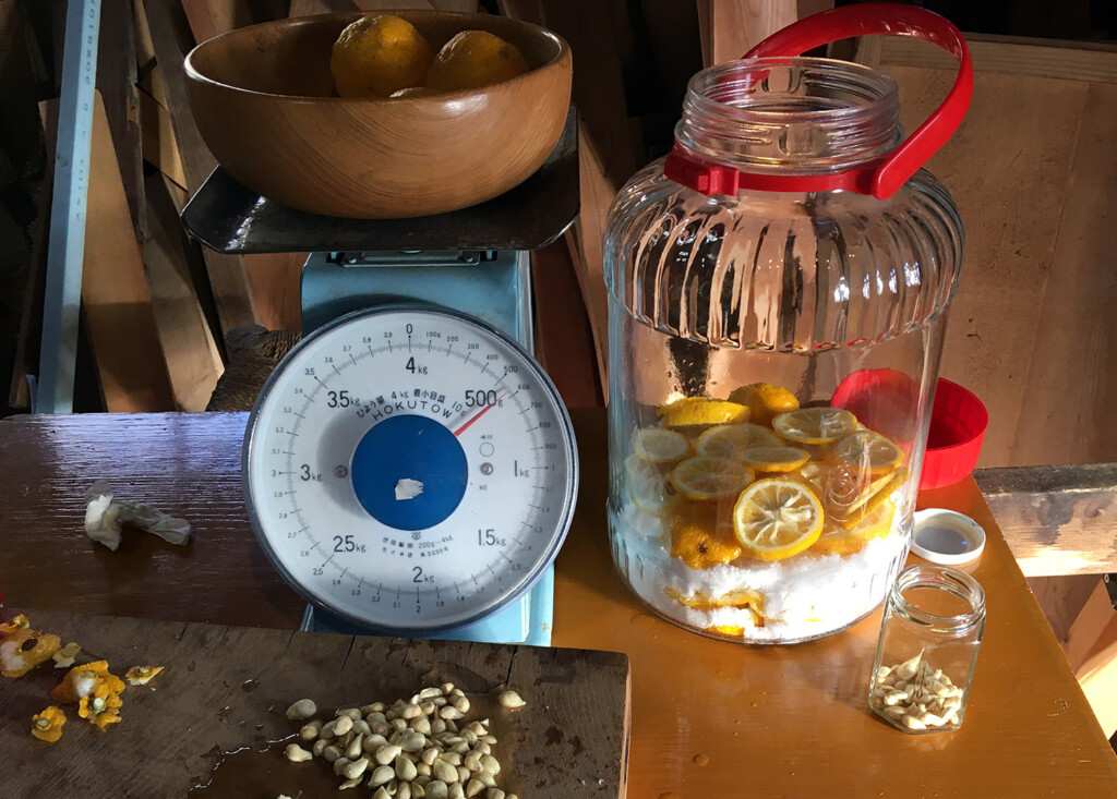 柑橘で酵素ジュース