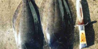 南房総フィッシング サーフ釣り場 丸山 和田 三島海岸 Turn南房総