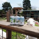 ヤギとクラフトビール