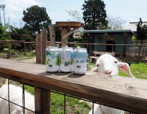 ヤギとクラフトビール
